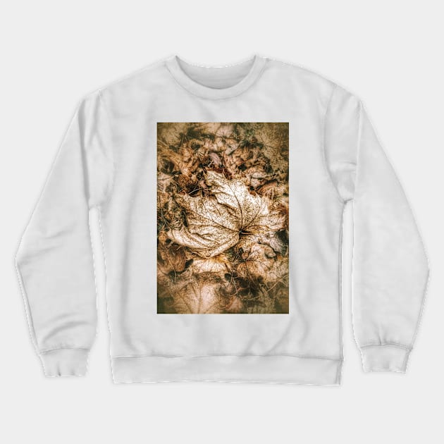 Fallen Sycamore Leaf Crewneck Sweatshirt by GrahamPrentice